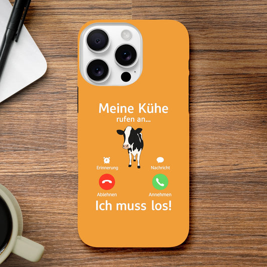 2e810c8c-f821-47cb-b1ba-e43cc22044e6