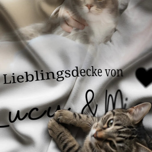 Bildschirmfoto 2025-11-21 um 01.41.50