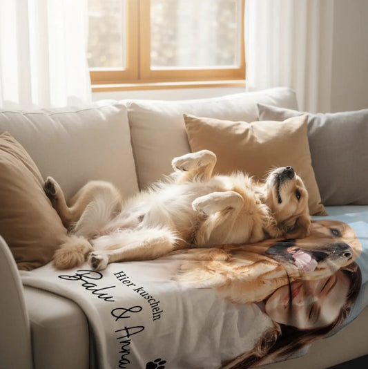 Bildschirmfoto 2025-11-21 um 01.41.30