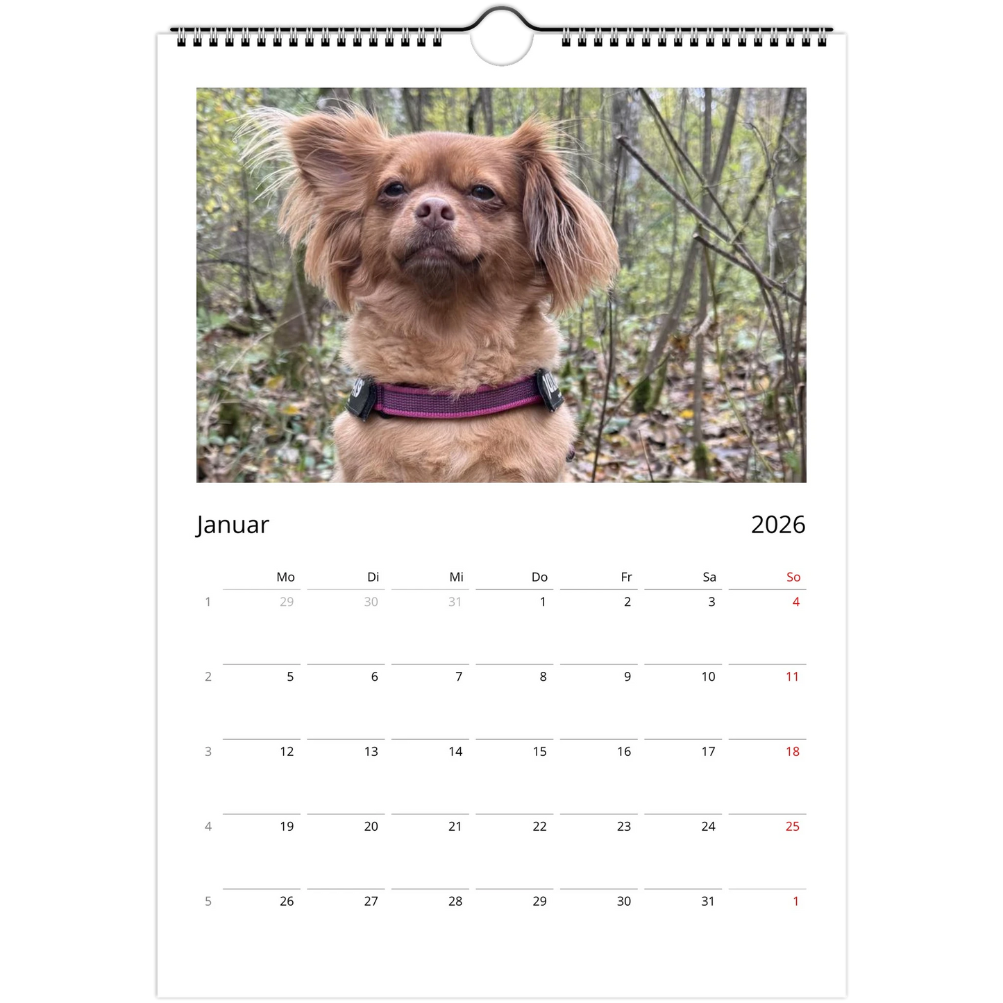 1434d23e-687b-4f46-a6af-6fcf04d1c00a