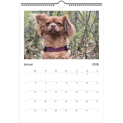 1434d23e-687b-4f46-a6af-6fcf04d1c00a