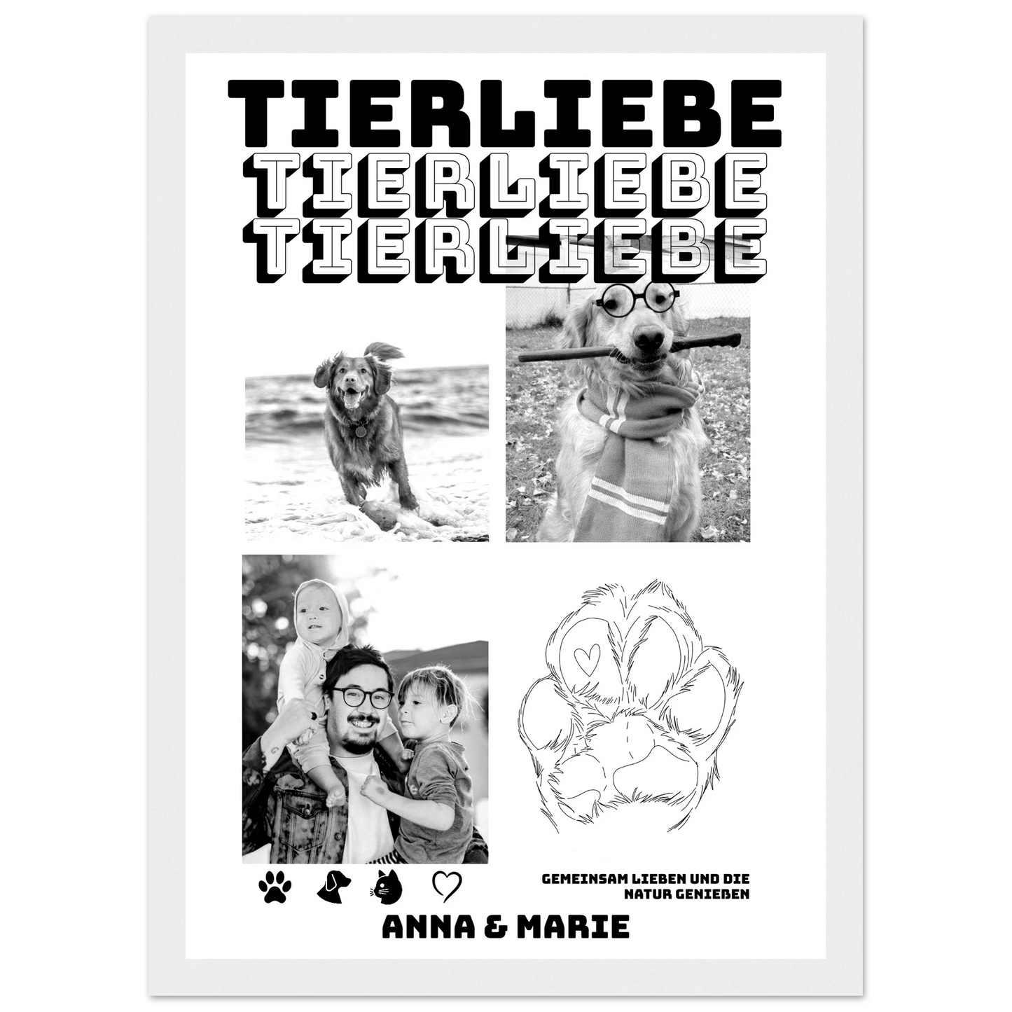 244884a7-13ba-4809-a9f6-9230f64f6569