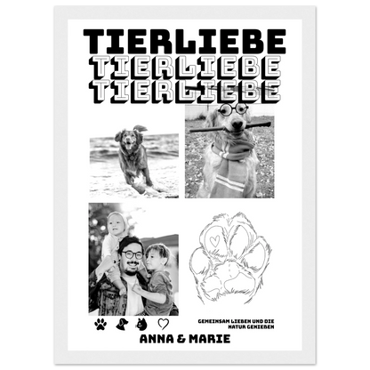 244884a7-13ba-4809-a9f6-9230f64f6569