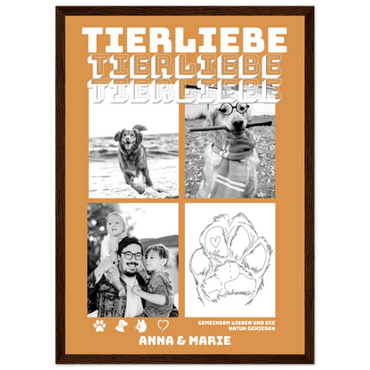 34194a30-5c0e-4938-9bf0-248e606c638a