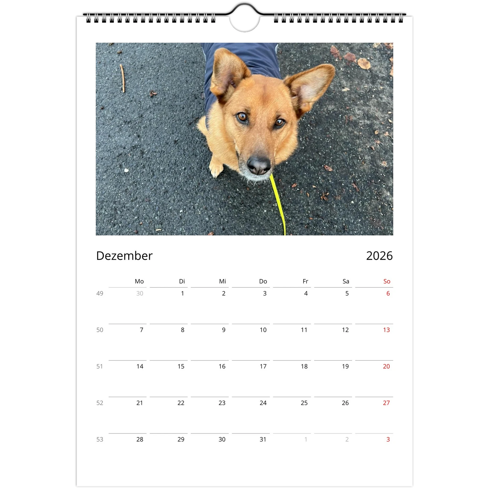 3dc56000-6f27-4a1d-ac14-08e4ddb2b296