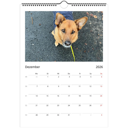 3dc56000-6f27-4a1d-ac14-08e4ddb2b296