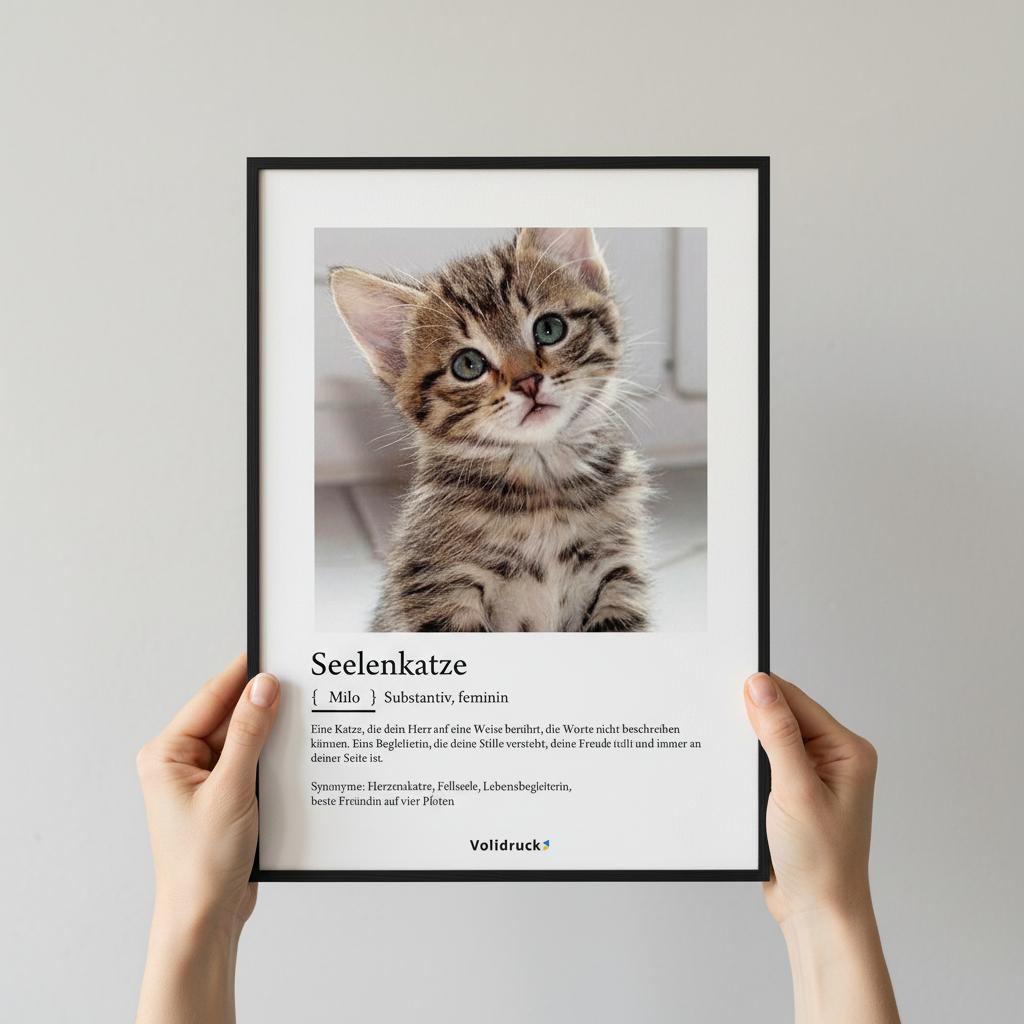 4322b262-7949-4bda-92e2-5dc63792d12a