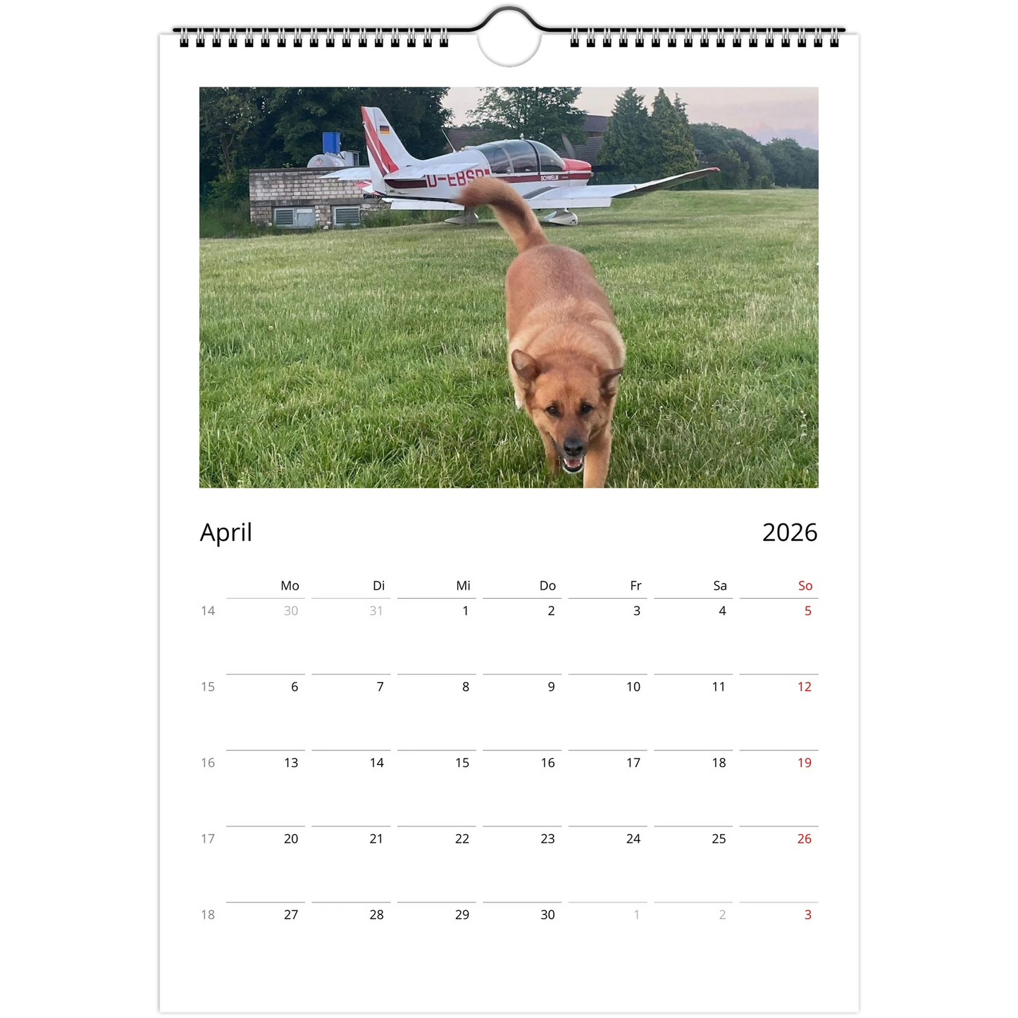 454884a5-1d96-4905-8d34-0da9e6855f08