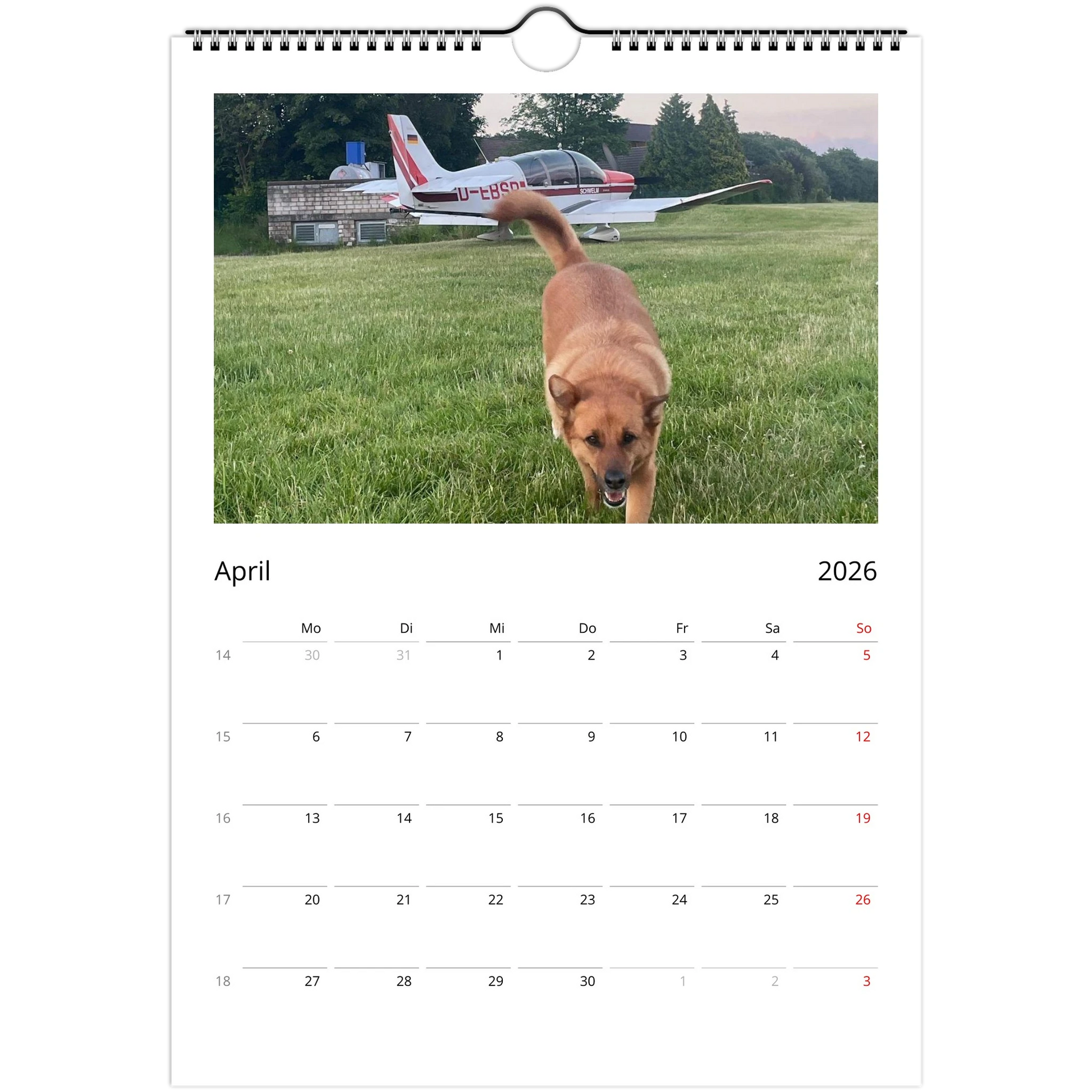 454884a5-1d96-4905-8d34-0da9e6855f08