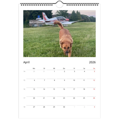 454884a5-1d96-4905-8d34-0da9e6855f08