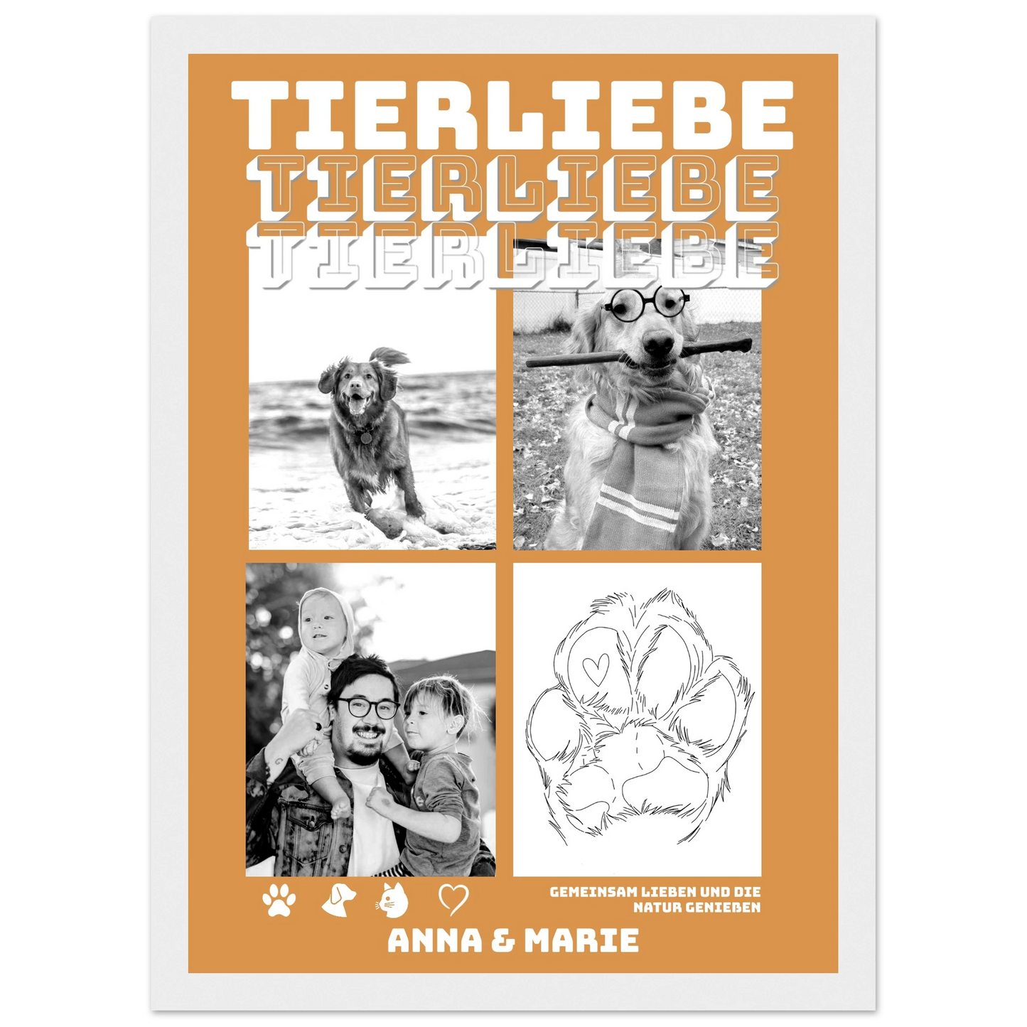 51f9e172-86d6-4e6a-a8fa-3c1e435cc23f