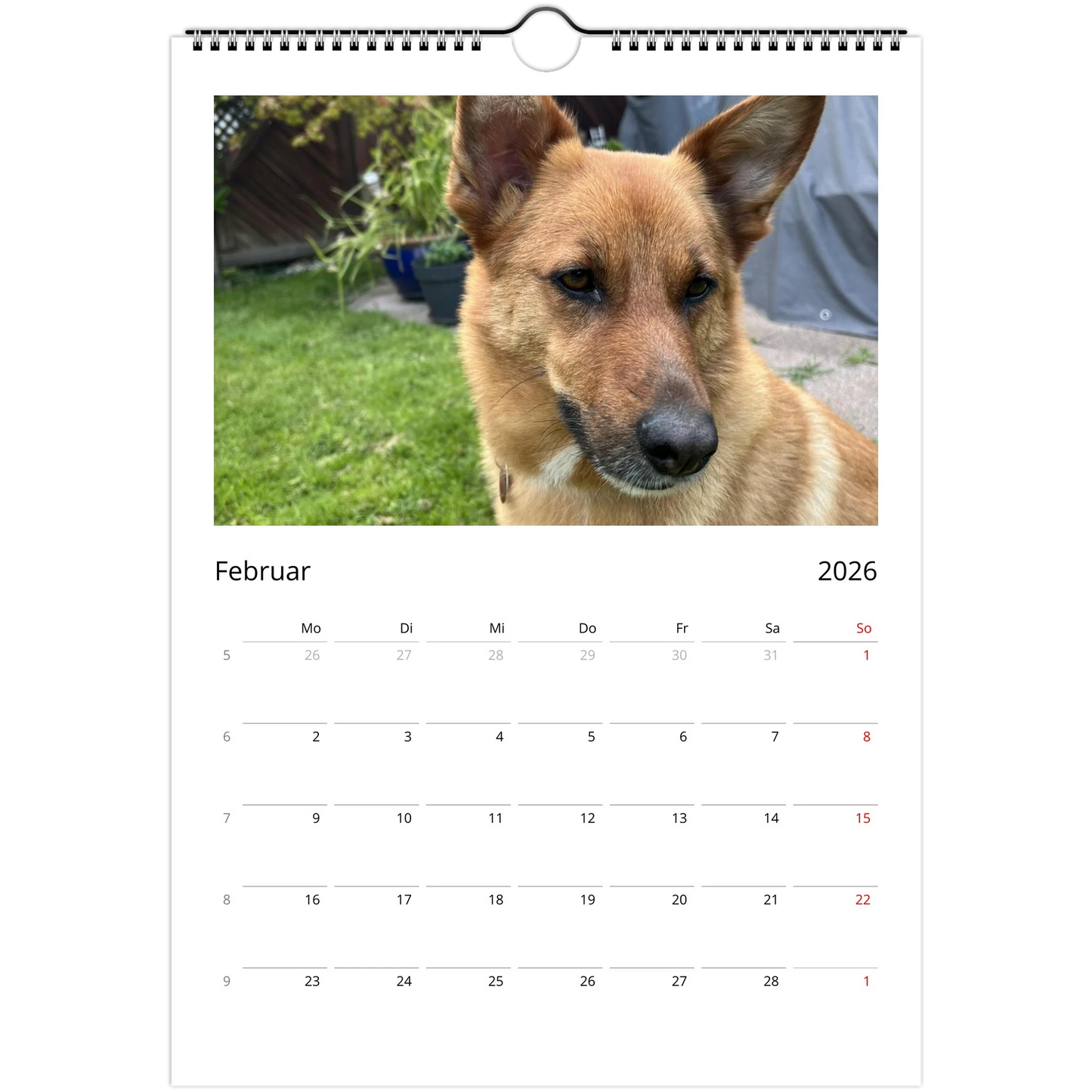 54b7120e-ea21-4b59-a931-41455e9961ad