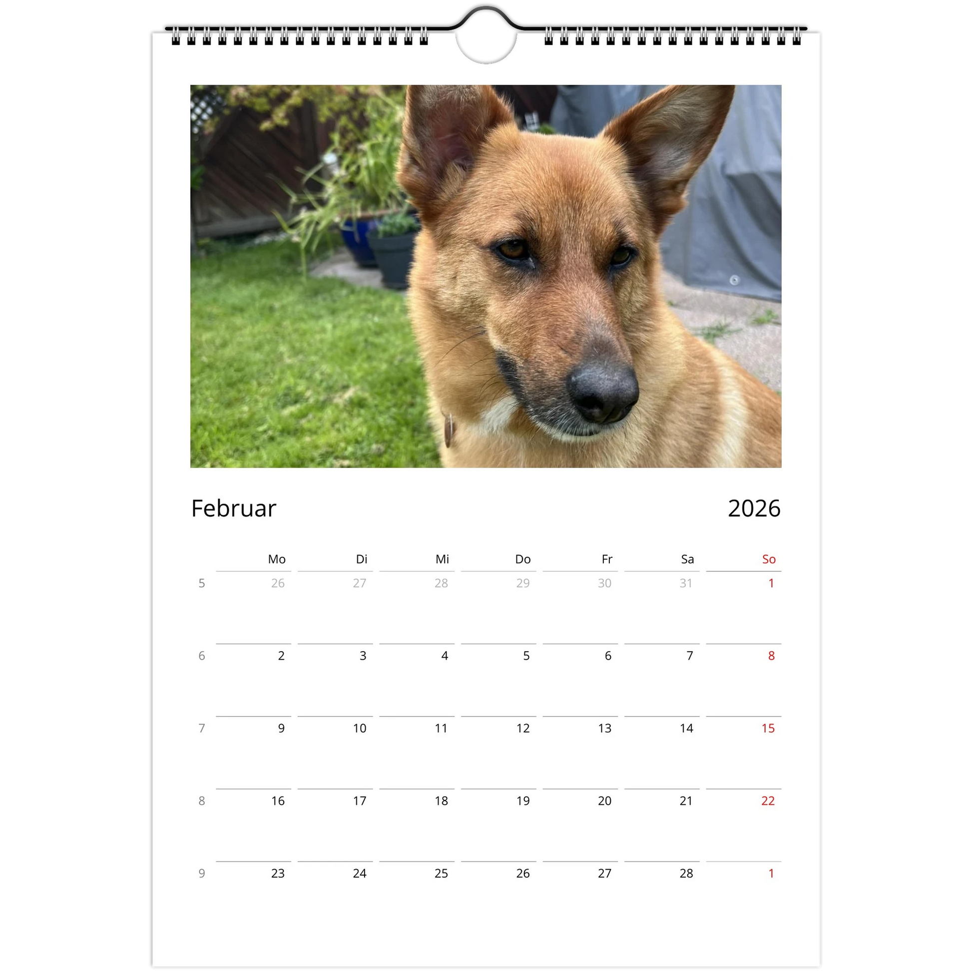 54b7120e-ea21-4b59-a931-41455e9961ad