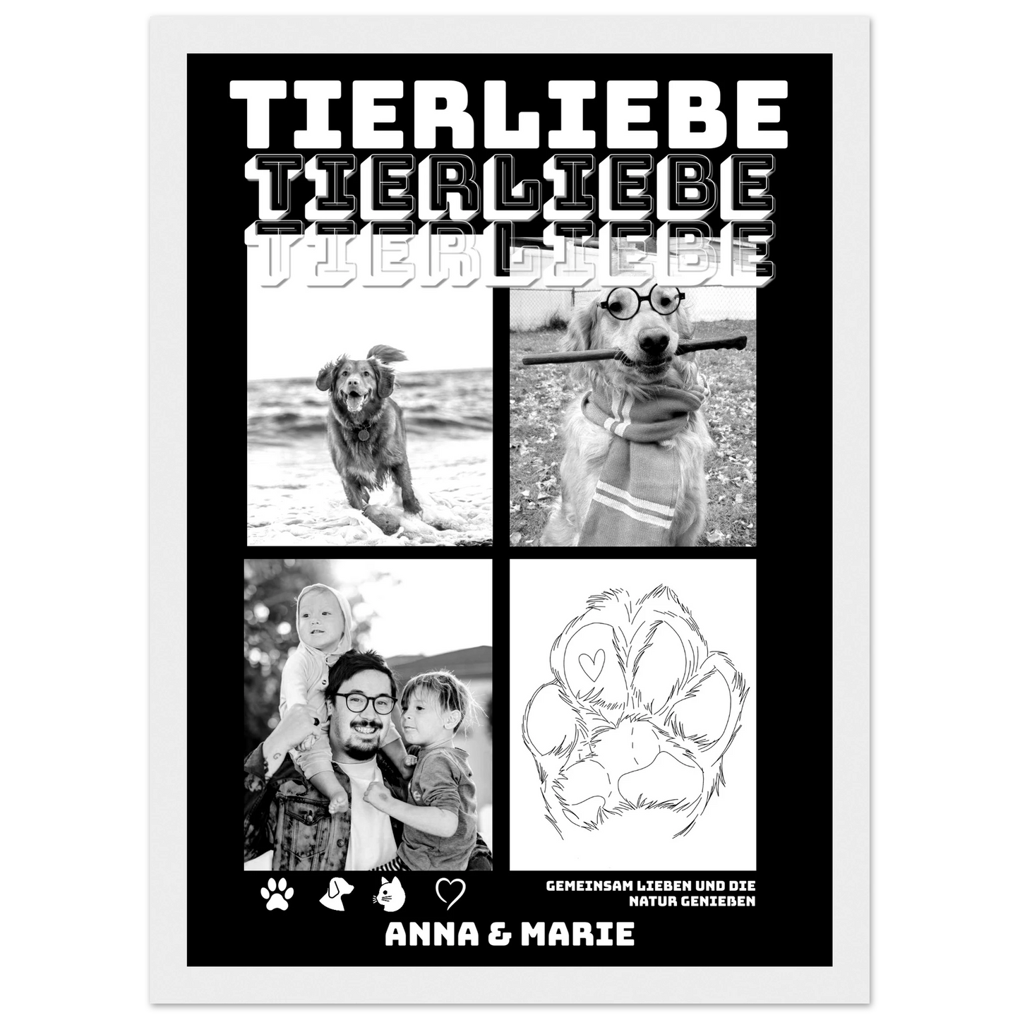 6558555d-64bb-4580-966a-7f7893909047