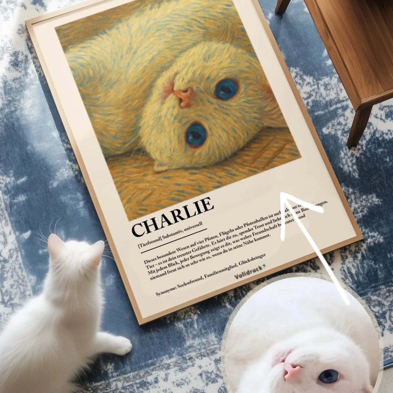 katze poster bild section