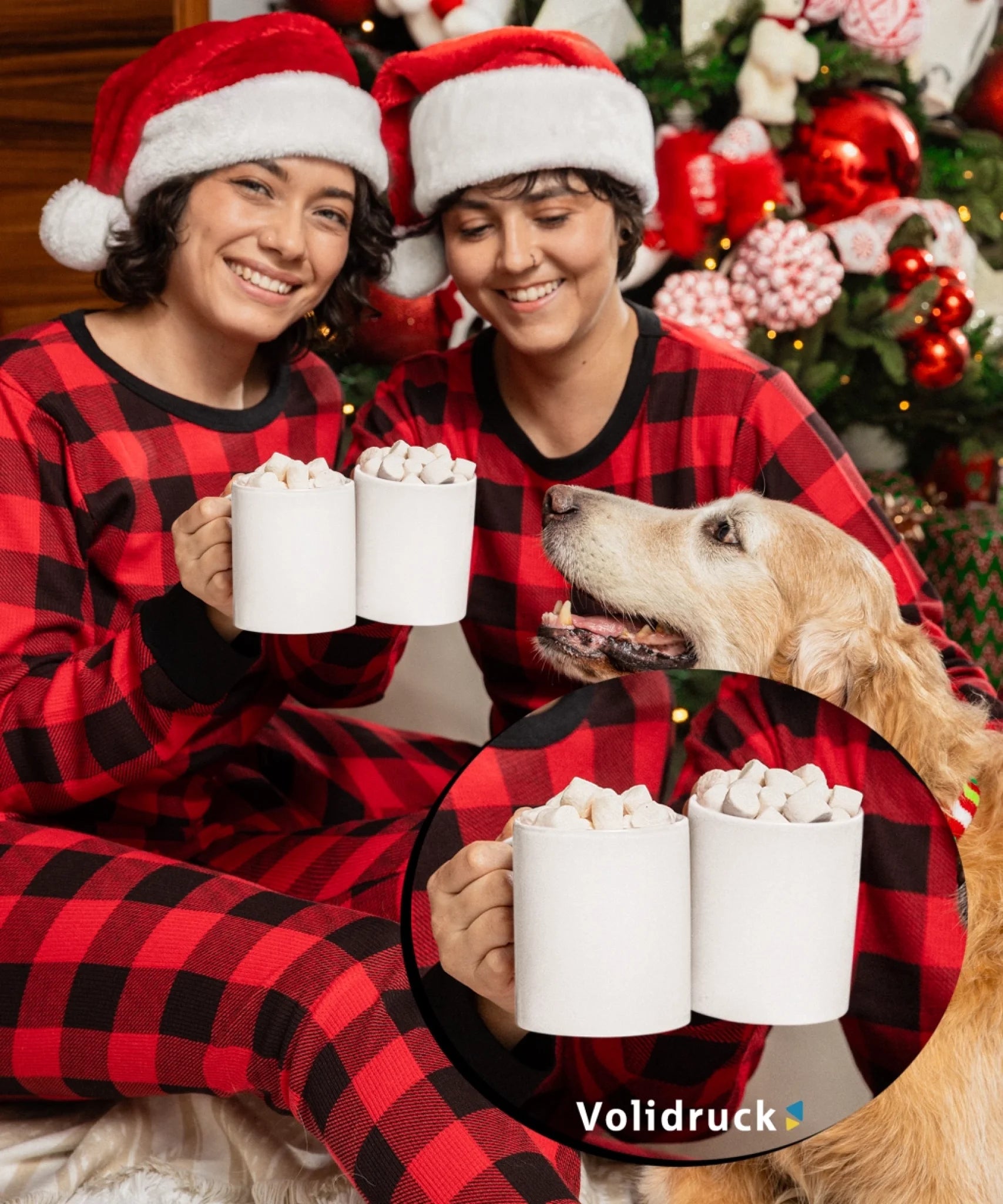 coffee-mug-mockup-of-two-happy-women-with-a-dog-celebrating-christmas-m52062