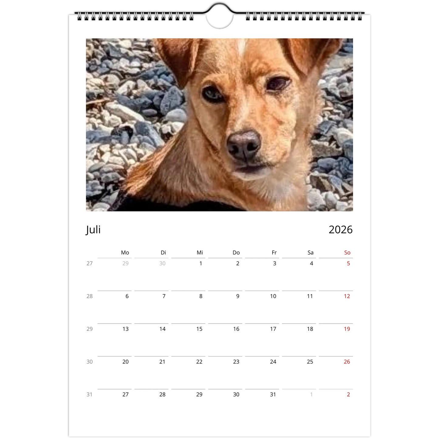 7990ce25-817c-4731-9278-dbdeb4c36578