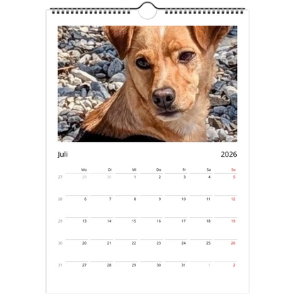 7990ce25-817c-4731-9278-dbdeb4c36578