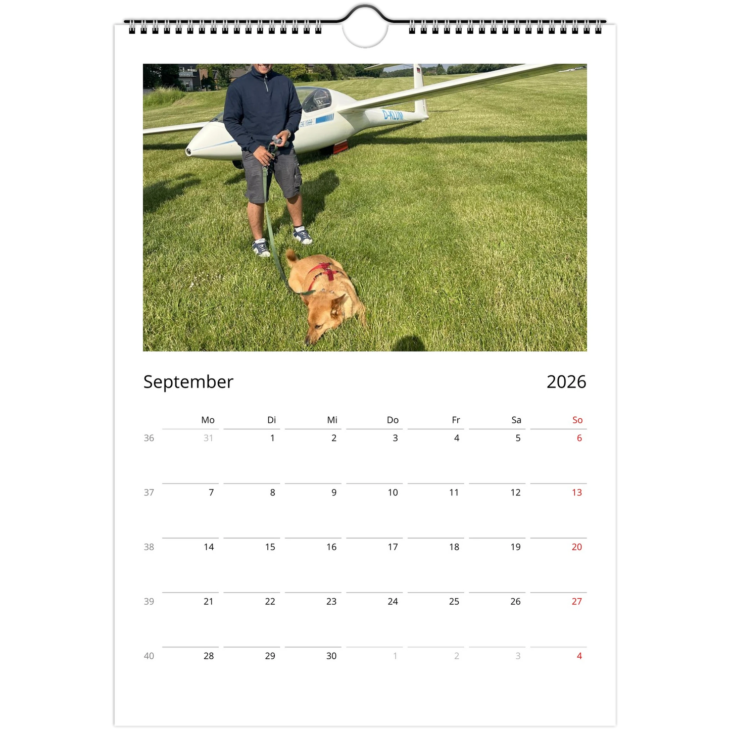 8986e111-58cc-4778-9b22-ad0fc8b9c560