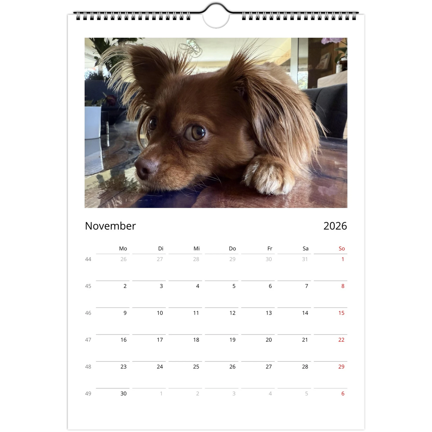 a514d4ed-a2b3-43b8-8518-34c902071cac