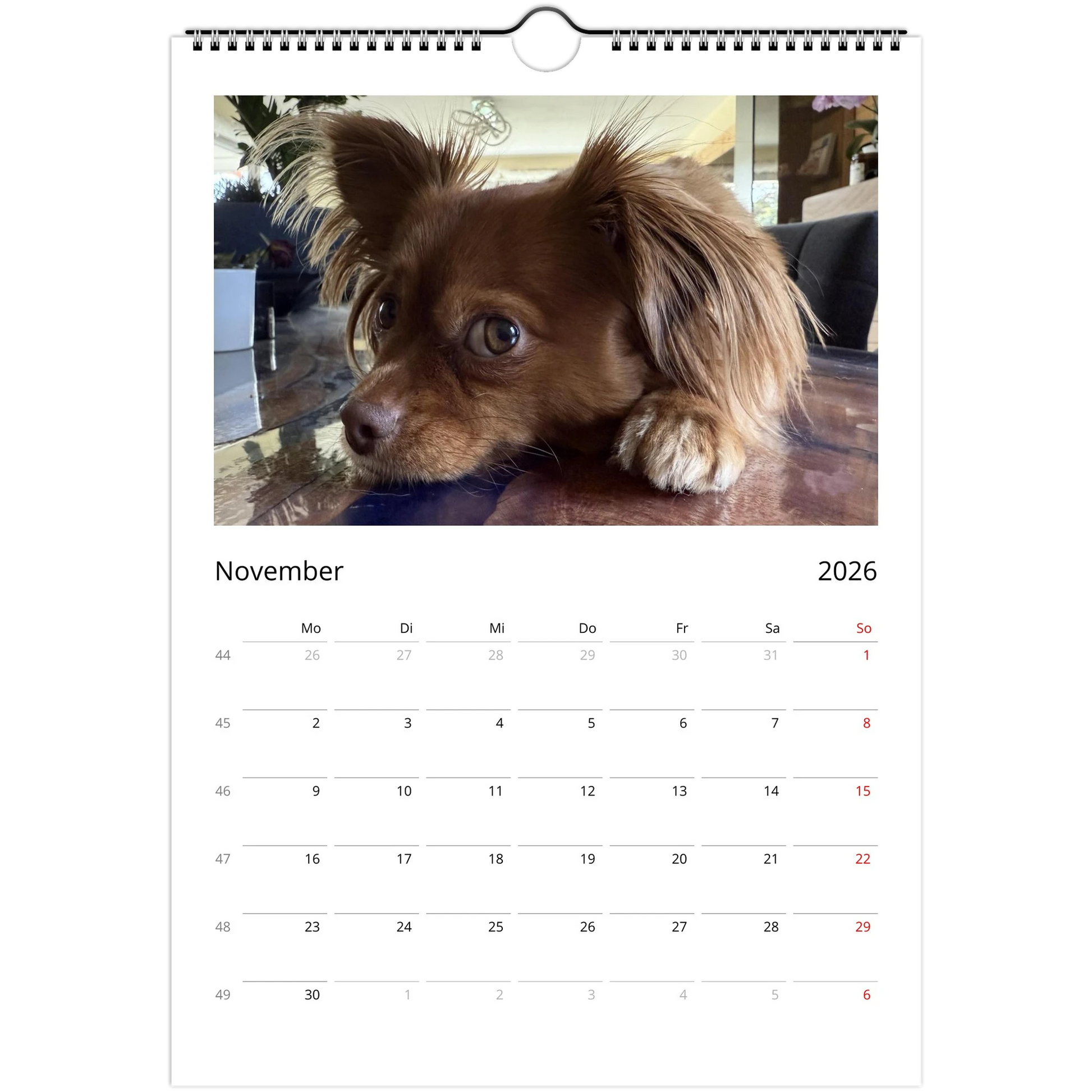 a514d4ed-a2b3-43b8-8518-34c902071cac