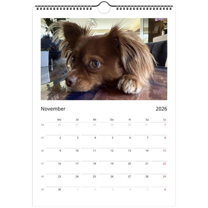 a514d4ed-a2b3-43b8-8518-34c902071cac