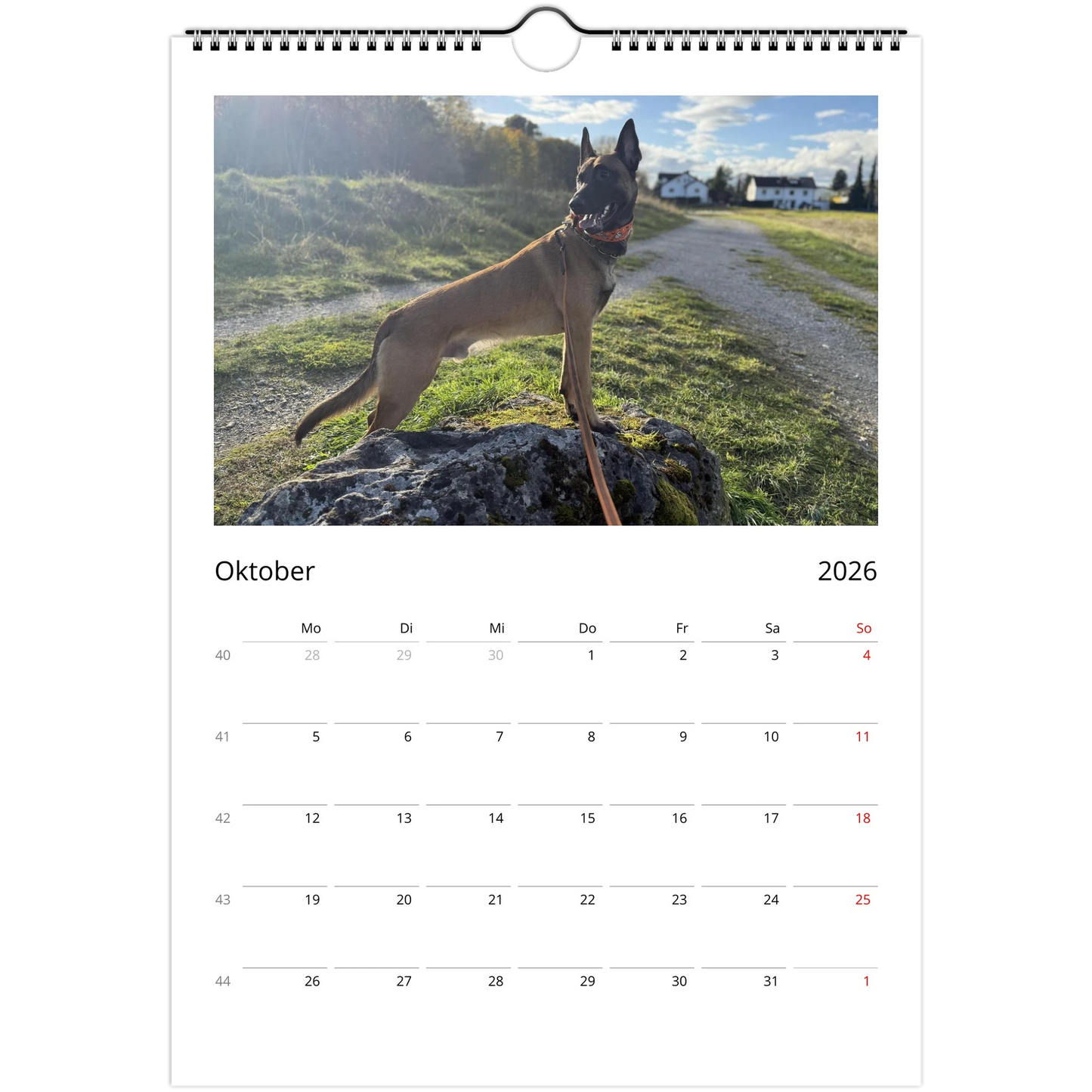 ab54547e-c959-4fb9-94b3-8af3a65e78aa