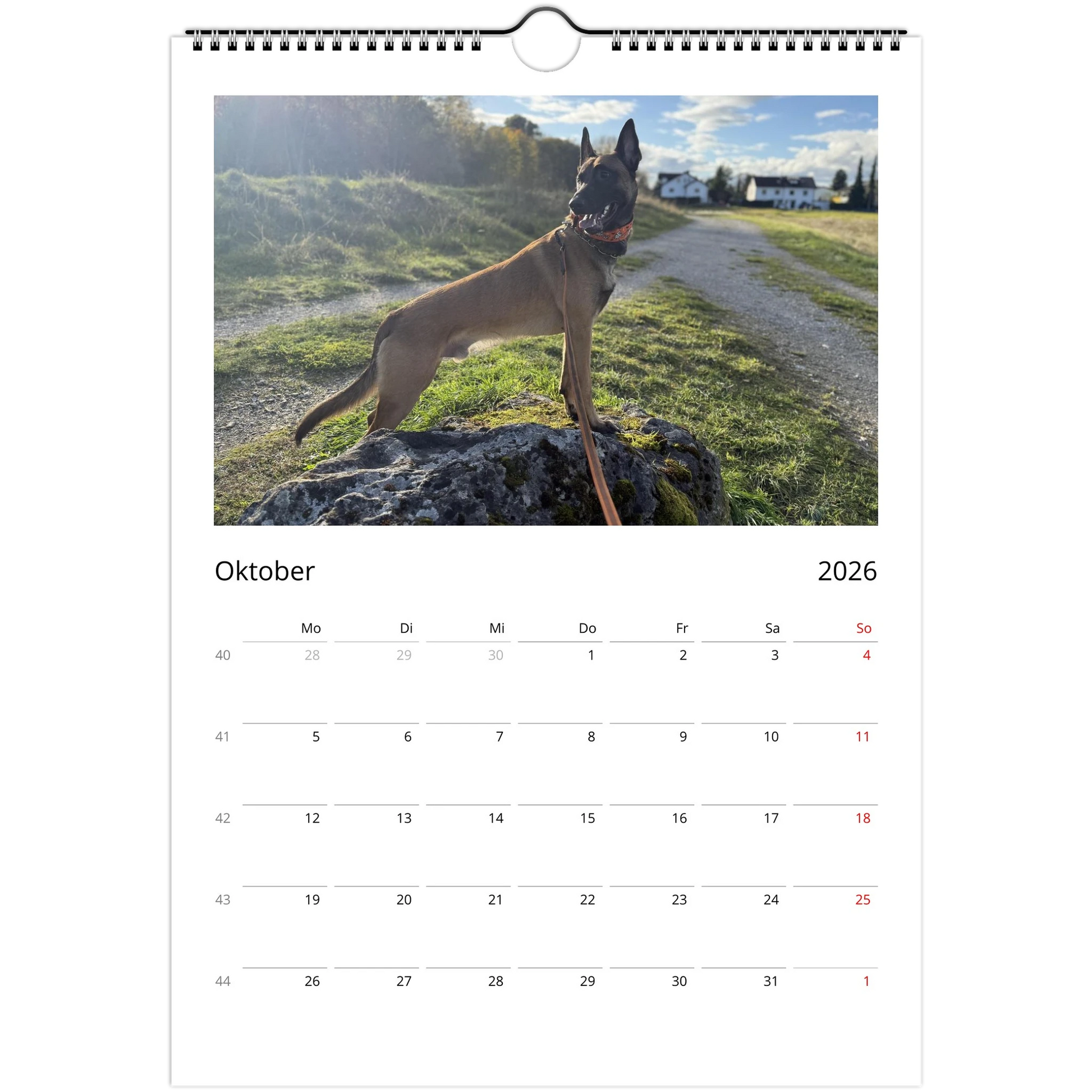 ab54547e-c959-4fb9-94b3-8af3a65e78aa