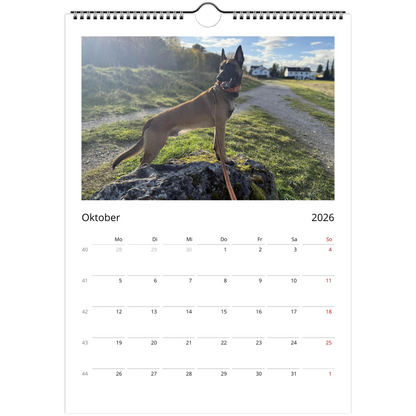 ab54547e-c959-4fb9-94b3-8af3a65e78aa