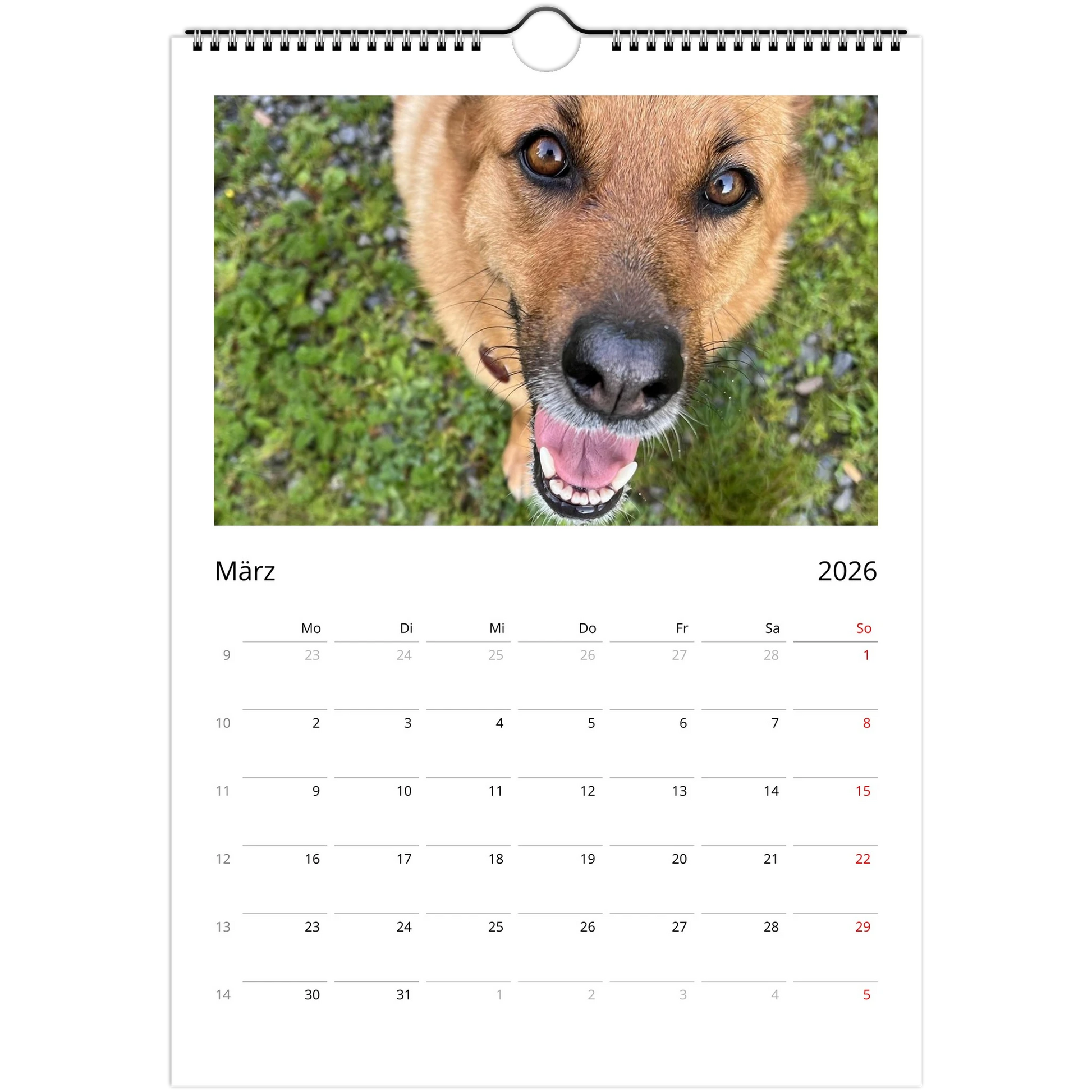 b6073430-9b6b-440c-a258-42cc7b578516