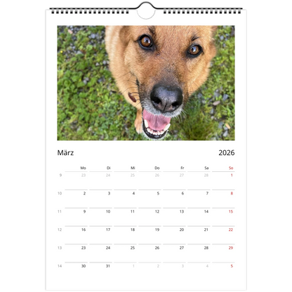 b6073430-9b6b-440c-a258-42cc7b578516