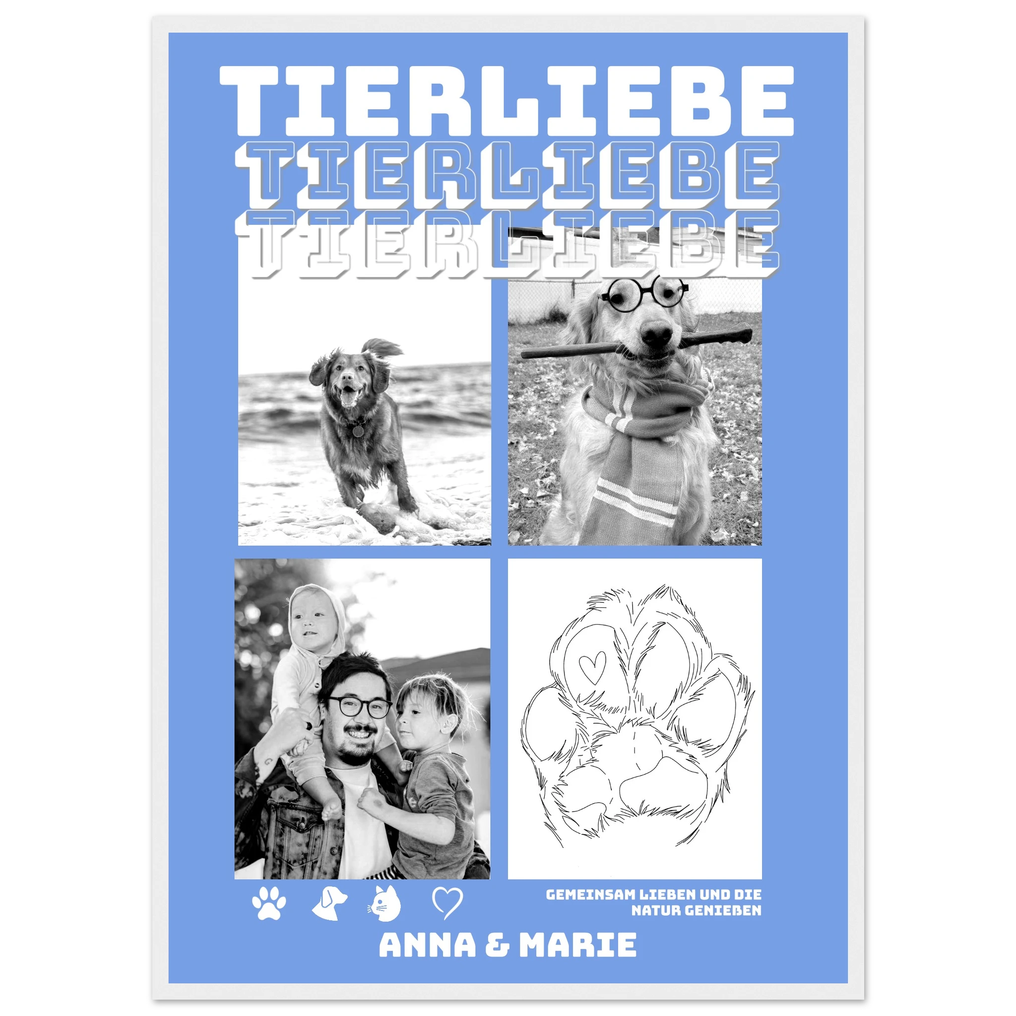 cd534149-4122-4cd6-9e63-46dde638118c