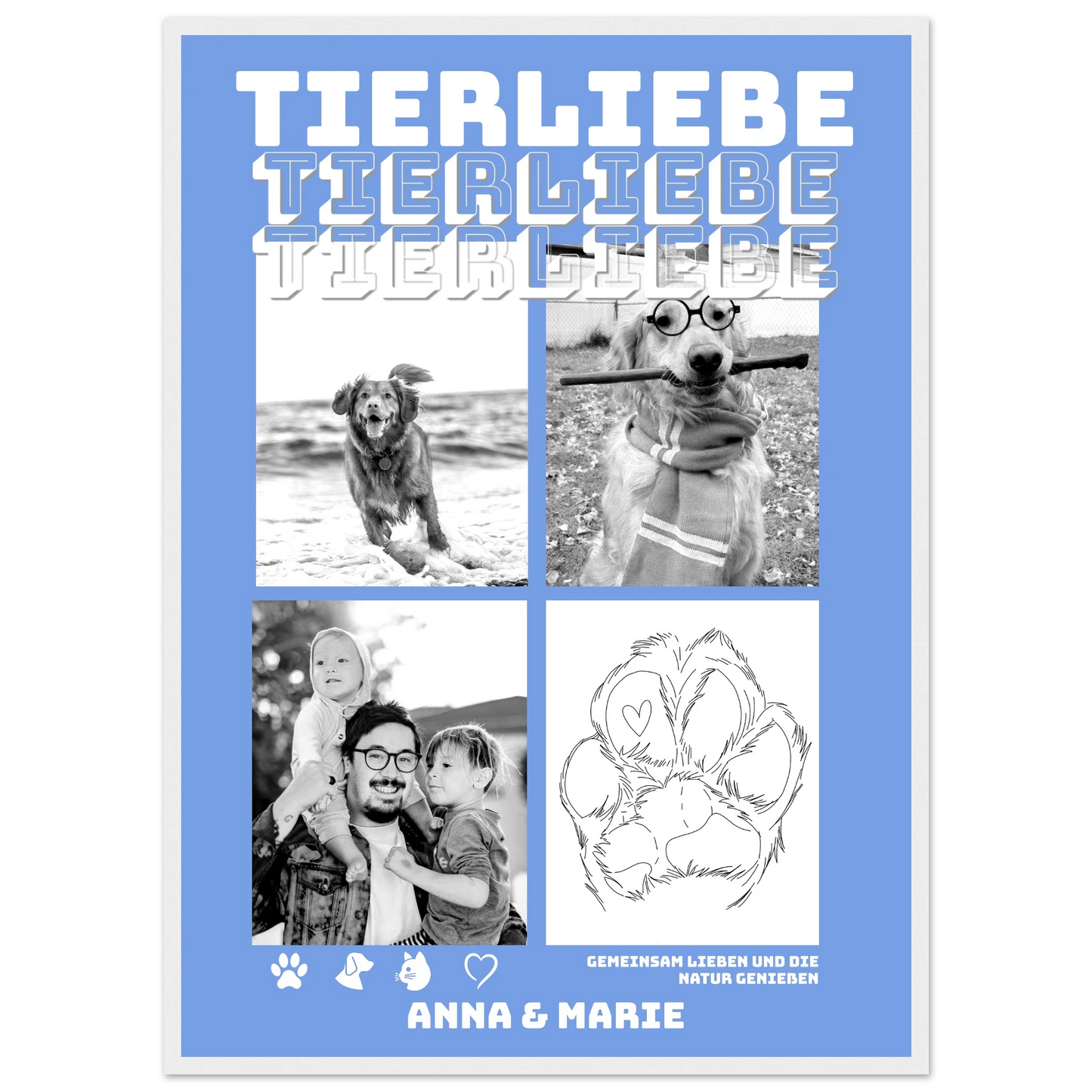 cd534149-4122-4cd6-9e63-46dde638118c