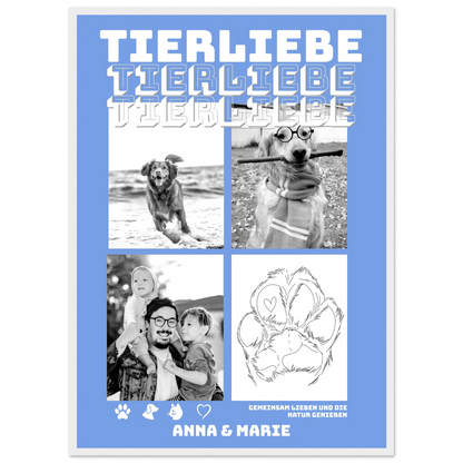 cd534149-4122-4cd6-9e63-46dde638118c