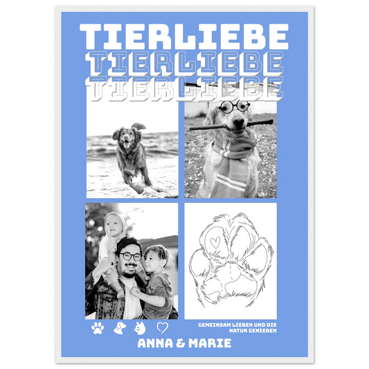 cd534149-4122-4cd6-9e63-46dde638118c