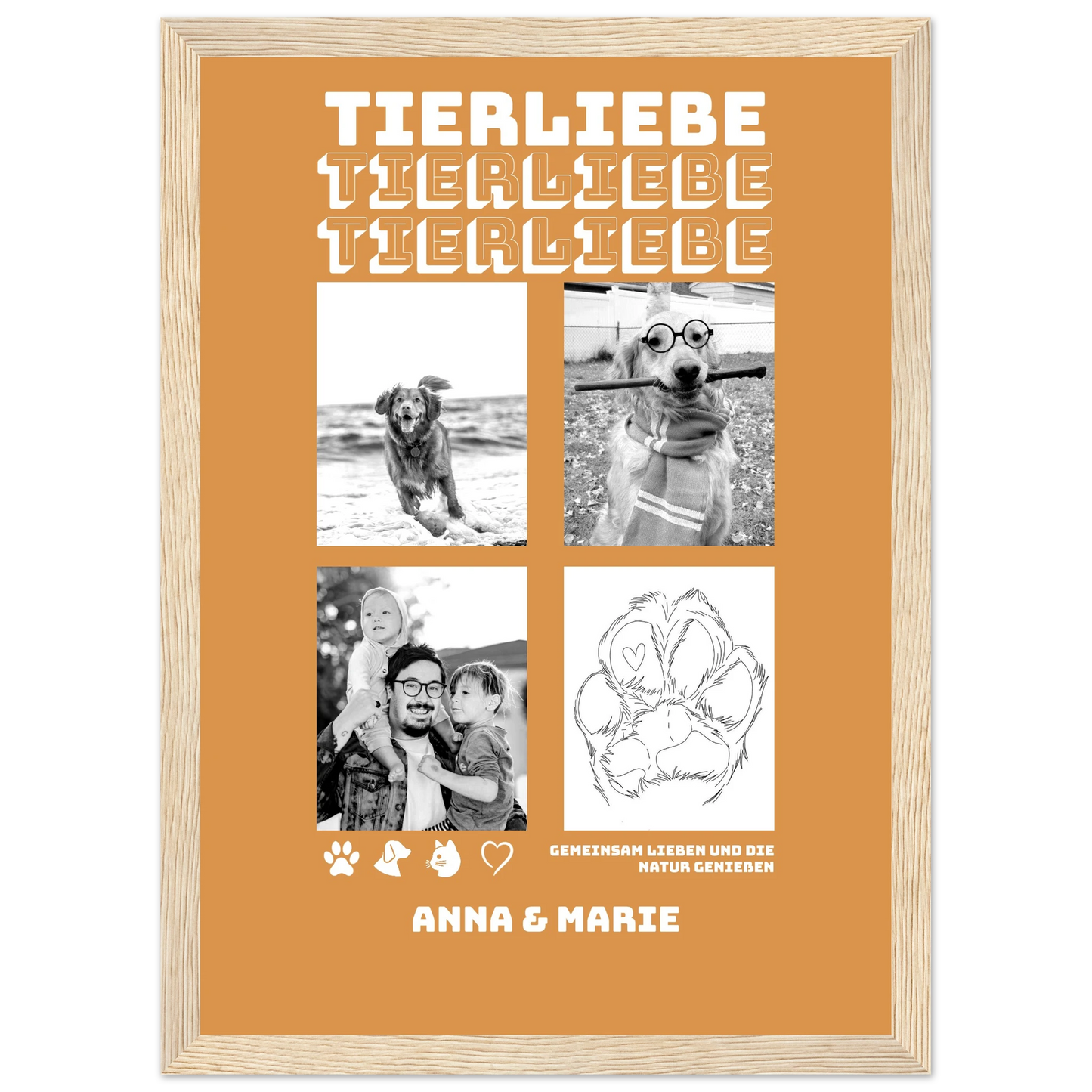 d3a7117d-f569-4c11-816a-0a0eeb724593