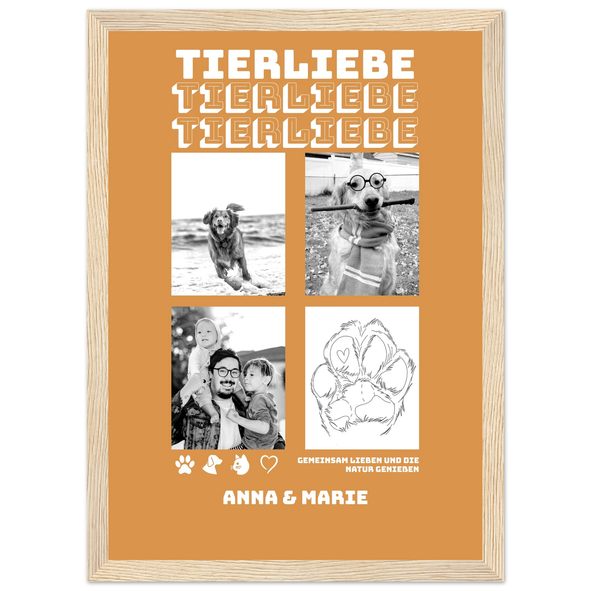 d3a7117d-f569-4c11-816a-0a0eeb724593