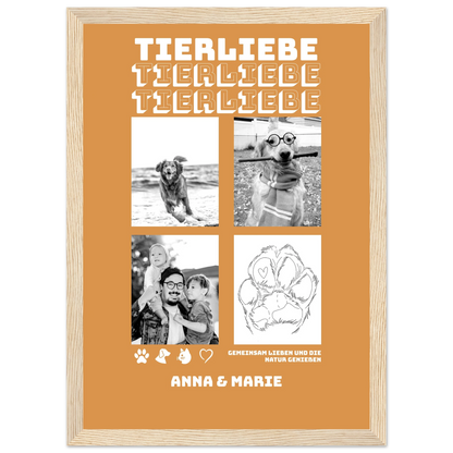 d3a7117d-f569-4c11-816a-0a0eeb724593