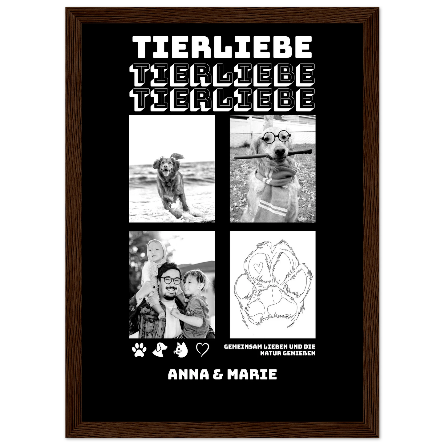 e8ee7316-3977-4c40-9e4b-0a5e24c8d35f