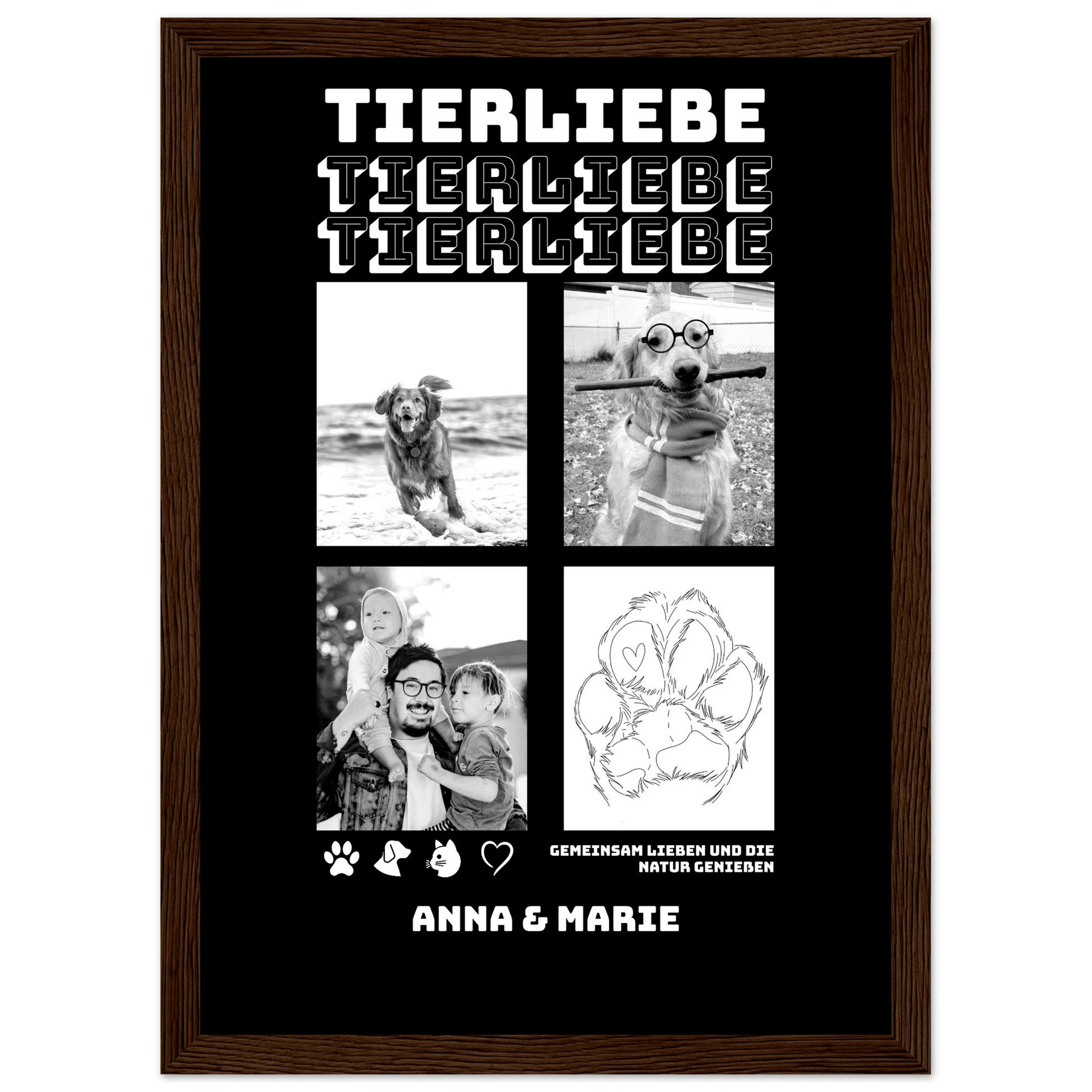 e8ee7316-3977-4c40-9e4b-0a5e24c8d35f