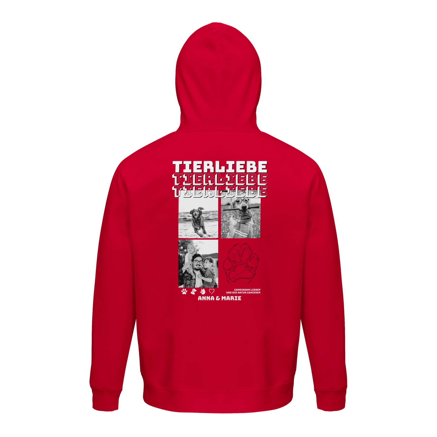 e92361d5-3f0b-4872-a284-66c41d6e968d